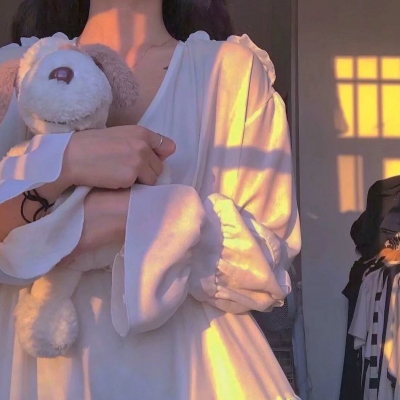 海岸大捕怪国语